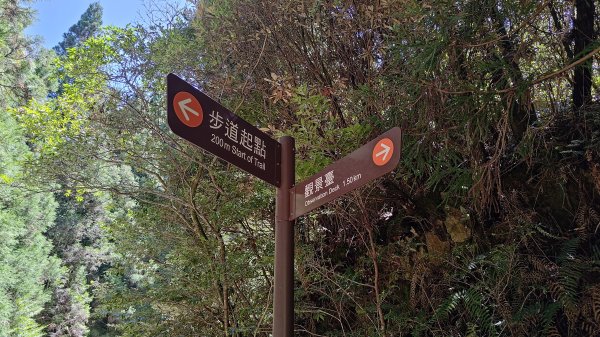 榛山景觀平台2918115