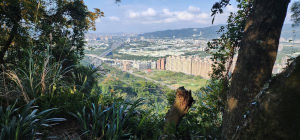 2026_01_18_探索你的後花園@土城2985002