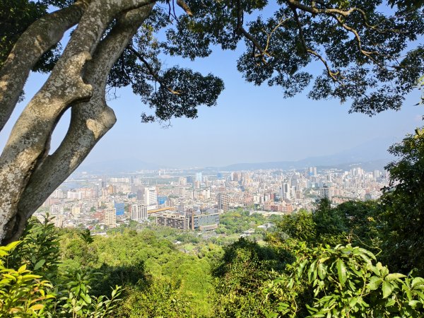 [百山百鳥尋旅-14/15] 2025_0929 劍潭山親山步道2900900