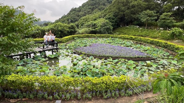 大崙頭山O繞_202405242512181