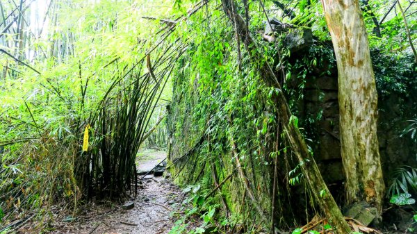 石笋古道,焿子寮古道,松子嶺古道2798351