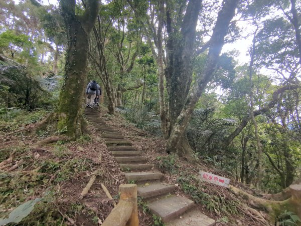 2025.01.18－仙山步道2706095