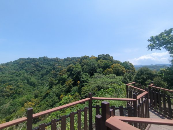 2026.05.02－聚興山步道3045926