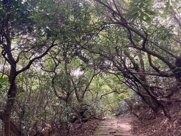 2022.09.10【臺北大縱走第五段】大湖公園-劍潭（鯉魚山、碧山巖、忠勇山、文間山、劍潭山）1839973