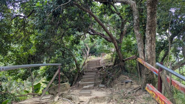 【台灣健行】台中天際線、南觀音山2695724