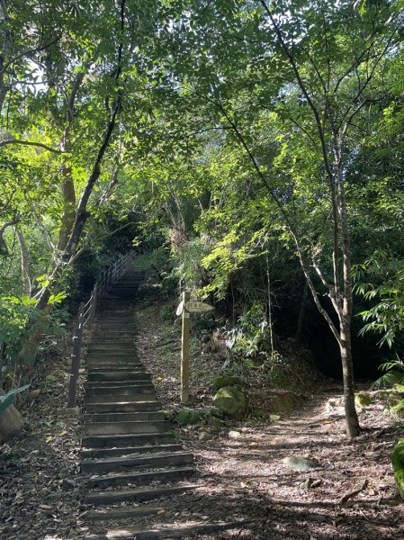 【二格山系】和美山螢火蟲2852560