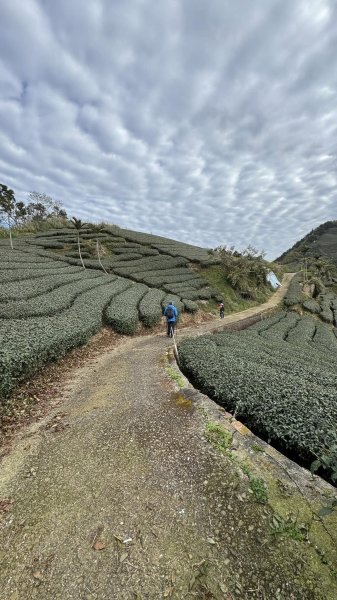 20250124小百岳 梨仔腳山及大尖山2703373