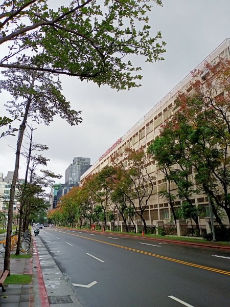 內湖大港墘公園、大湖公園 (防災公園) 【走路趣尋寶】1896628