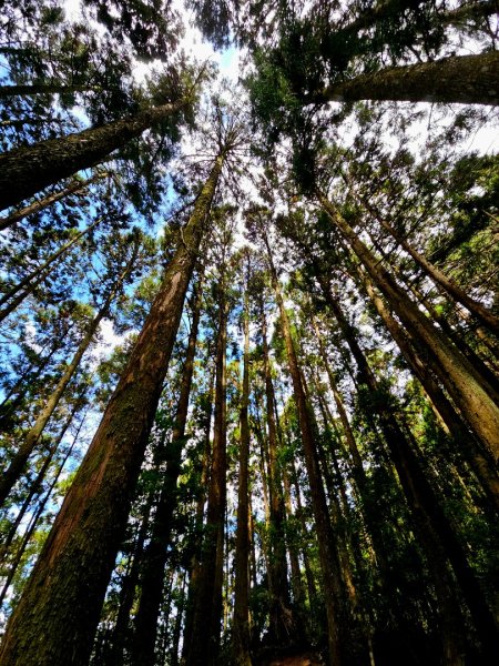 野馬瞰山步道-2025森遊竹縣皮皮獅探險隊2895228