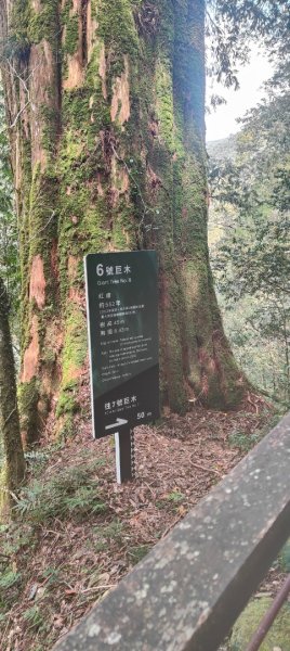 拉拉山國家森林遊樂區2752222