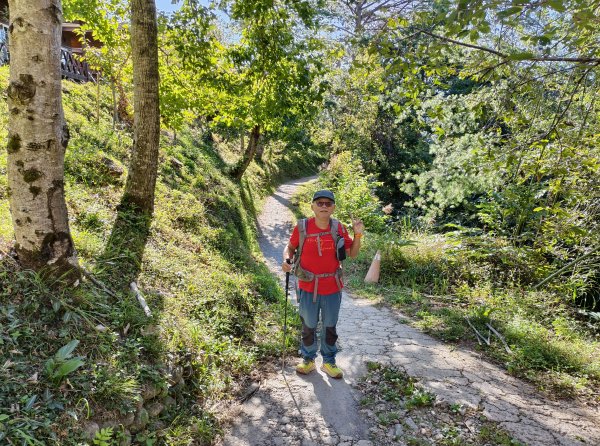 [皮皮獅探險隊-11/10] 2025_1010 隱藏任務–司馬庫斯神木群步道2912316