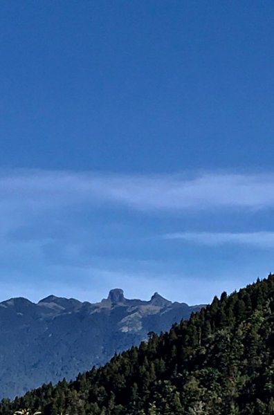 2017.10.28 檜山巨木群步道447768