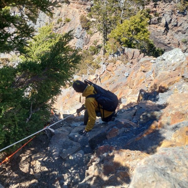 2025/228 武陵四秀2926737