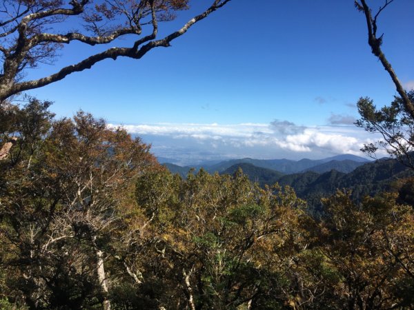 太平山台灣山毛櫸步道、魔幻森林、翠峰湖、望洋山2336537