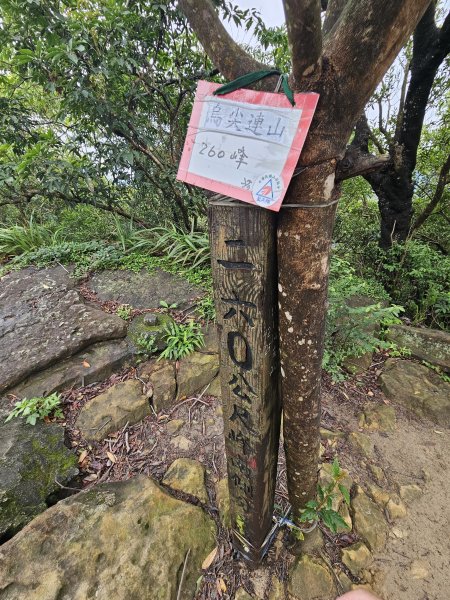 軍艦岩、丹鳳山親山步道3110734