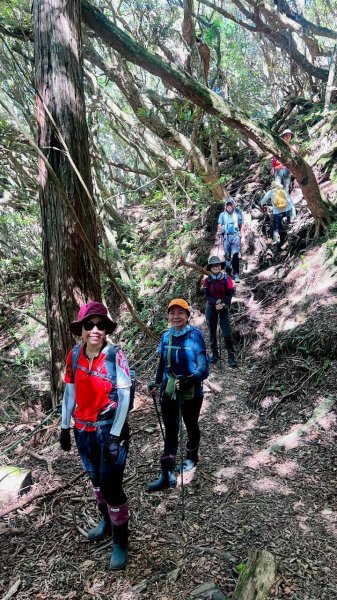 🌈6/21（日）塔曼山縱走拉拉山FB：熊熊趴爬走(富裕登山社)🌈3077172