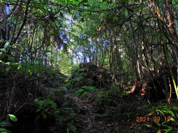 南投 竹山 鹿屈山前鋒、鹿屈山1462636