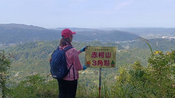 (姨婆趴趴走)第四十六集:新竹關西赤柯山及南峰、東西獅頭山、馬福山環狀縱走2685744