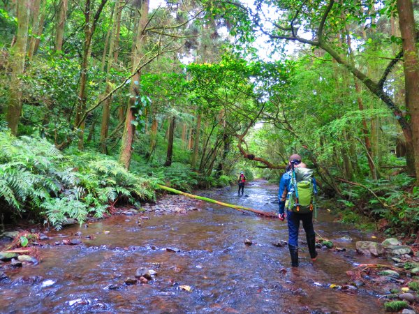 淡蘭古道輕旅行:坪溪古道出外澳546101