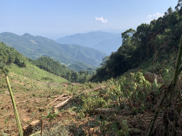 【小百岳】鵝公髻山Ｏ型、柳杉森林浴、上坪溪瀑布群1630695