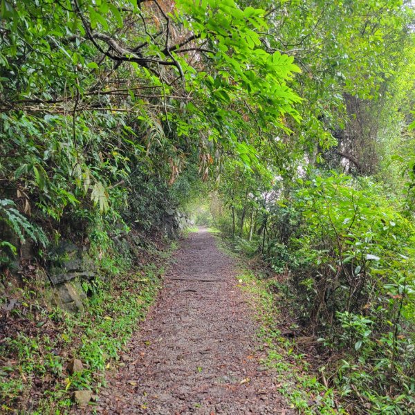 礁溪跑馬古道2518995