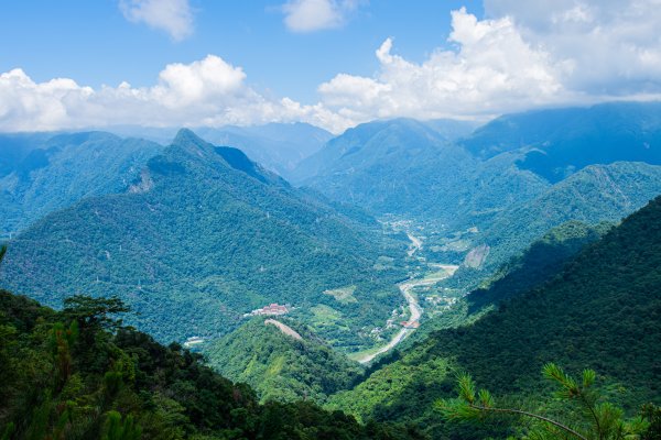 白毛山3085424