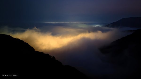 #大屯山 #日出 #雲海 #琉璃光 #橘咖啡 #吉野櫻 3/233020507