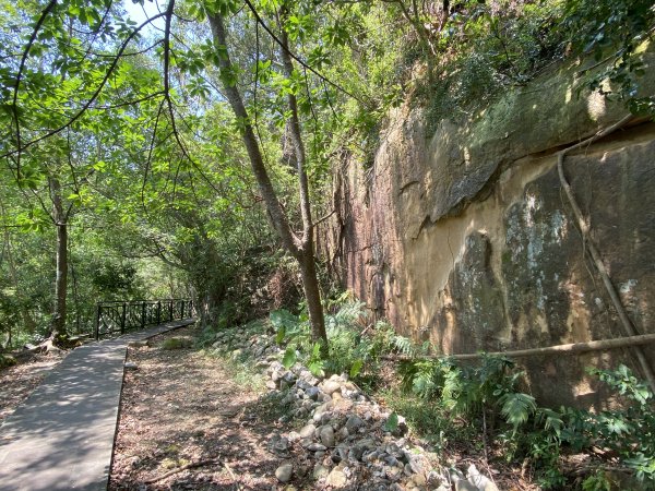 2025微笑山線大縱走尋寶集章任務-Ep.06【二格山系】和美山螢火蟲2880992