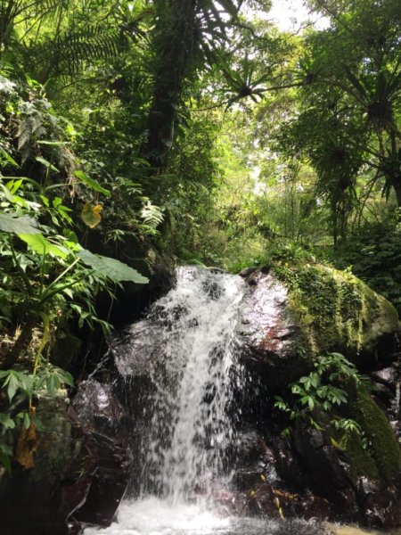 抹茶山&三角崙山566975