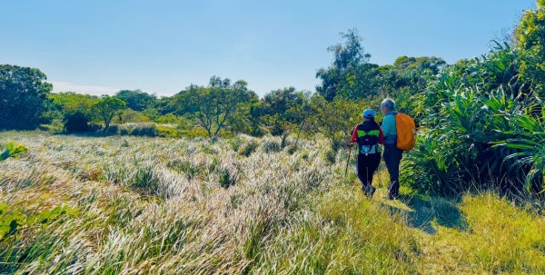 恆春大縱走:鎮南宮-赤牛嶺-大山母山(小百岳#81)-南灣出2963806