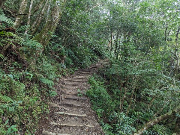 【百大必訪步道】浸水營古道1990059