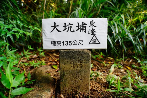 新北 基隆 大坑埔山、月眉山、長命山、大水堀山、金交椅山、紅淡山、鳥嘴山西峰3092636