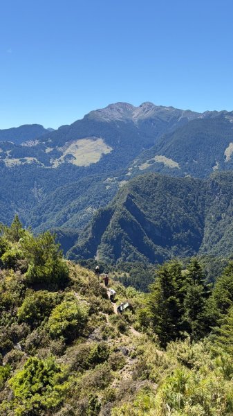 一日單攻桃山2903278