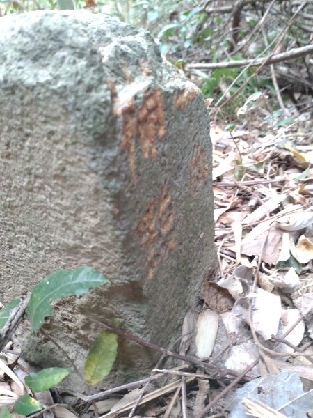 20231130燥坑山3014306