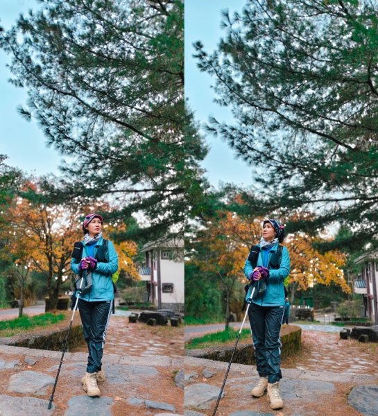 麟趾山、鹿林山、鹿林前山三山縱走(塔塔加三山)2990369