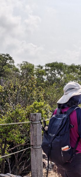 2026-0412 奇岩山_唭哩岸山_丹鳳山_軍艦岩3034876