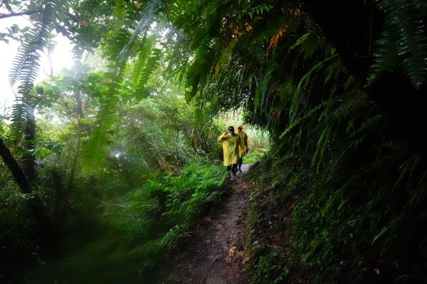 淡蘭古道中路O型988522