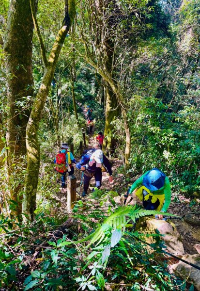 九穹神木 左訪嘉南雲峰 右到好望角看風景上石壁山(小百岳#55)2944846