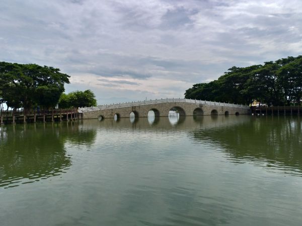 天鵝湖環保水上公園環湖步道405865