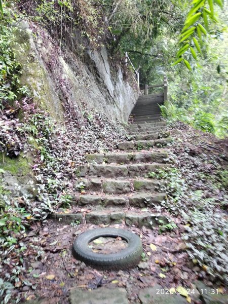 步道巡訪員 l 5月份崁頭山步道巡禮975302