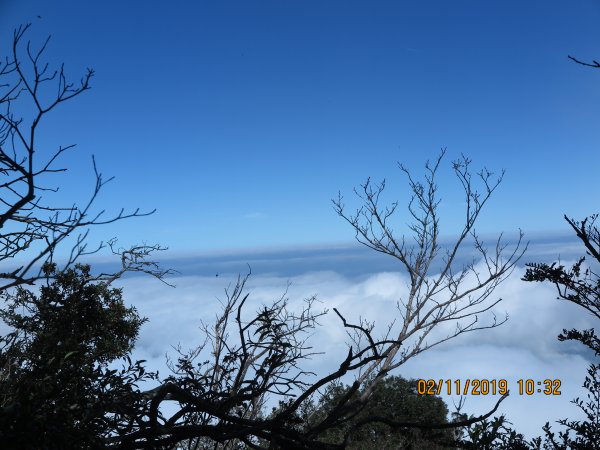 加里山雲海美景725078