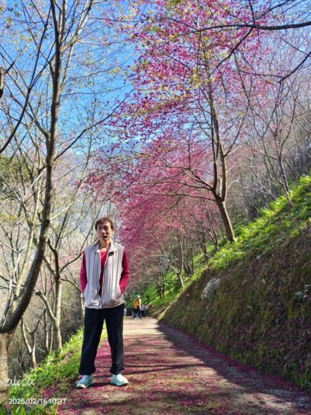 南投草坪頭2714118