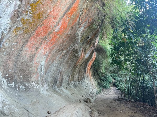 20250913_三峽鳶山爬山趣2882818