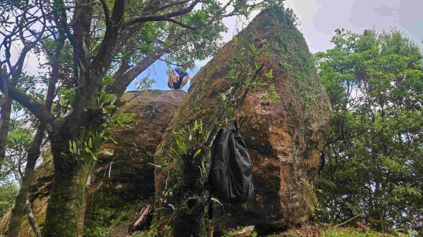 20250516九芎坑山-司公髻尾山-鑽石峰-人頭面山-南勢坑大尖-小尖山主前峰2787666