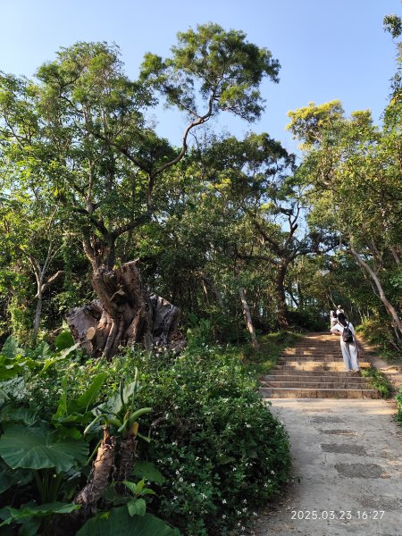 【臺北大縱走 5】碧山巖→忠勇山越嶺步道→金龍產業道路→圓明寺步道→鄭成功廟步道→文間山→劍潭山步道2744902