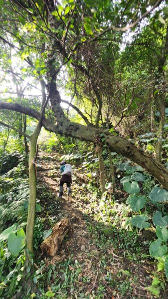 銀河洞越嶺貓空-新高麗坑山-銀獅縱走-猴山岳群峰+三條魚縱走2998300