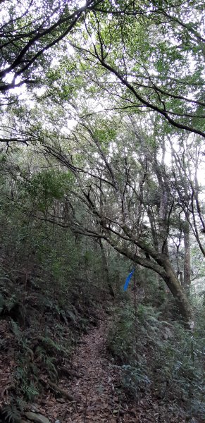 白姑大山之旅743409