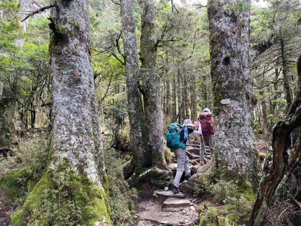 向陽日出，嘉明湖光2865076