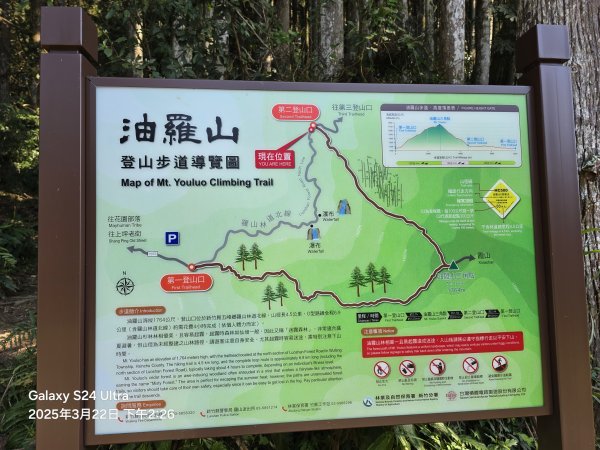 2025-03-22油羅山步道2743444