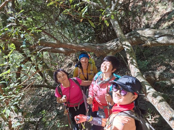 【谷關七雄】波津加(H1771.6m)肉腳配速成功2670417